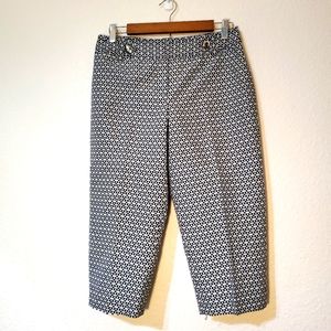 Ann Taylor Margo Capris